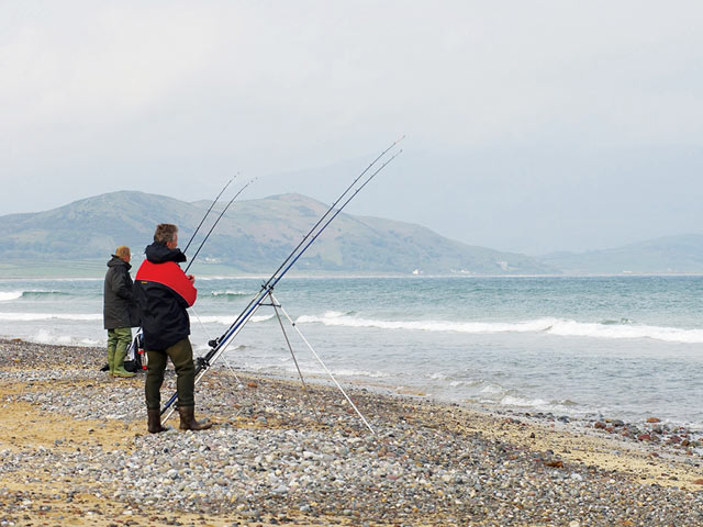 Pier, Rock and Beach fishing - Killarney Fishing Tours